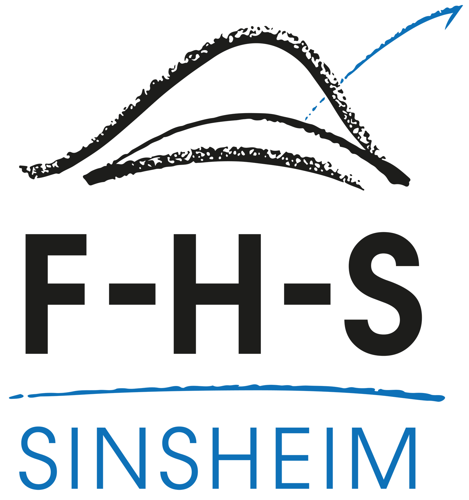 Friedrich-Hecker-Schule - Gewerbliche Schule