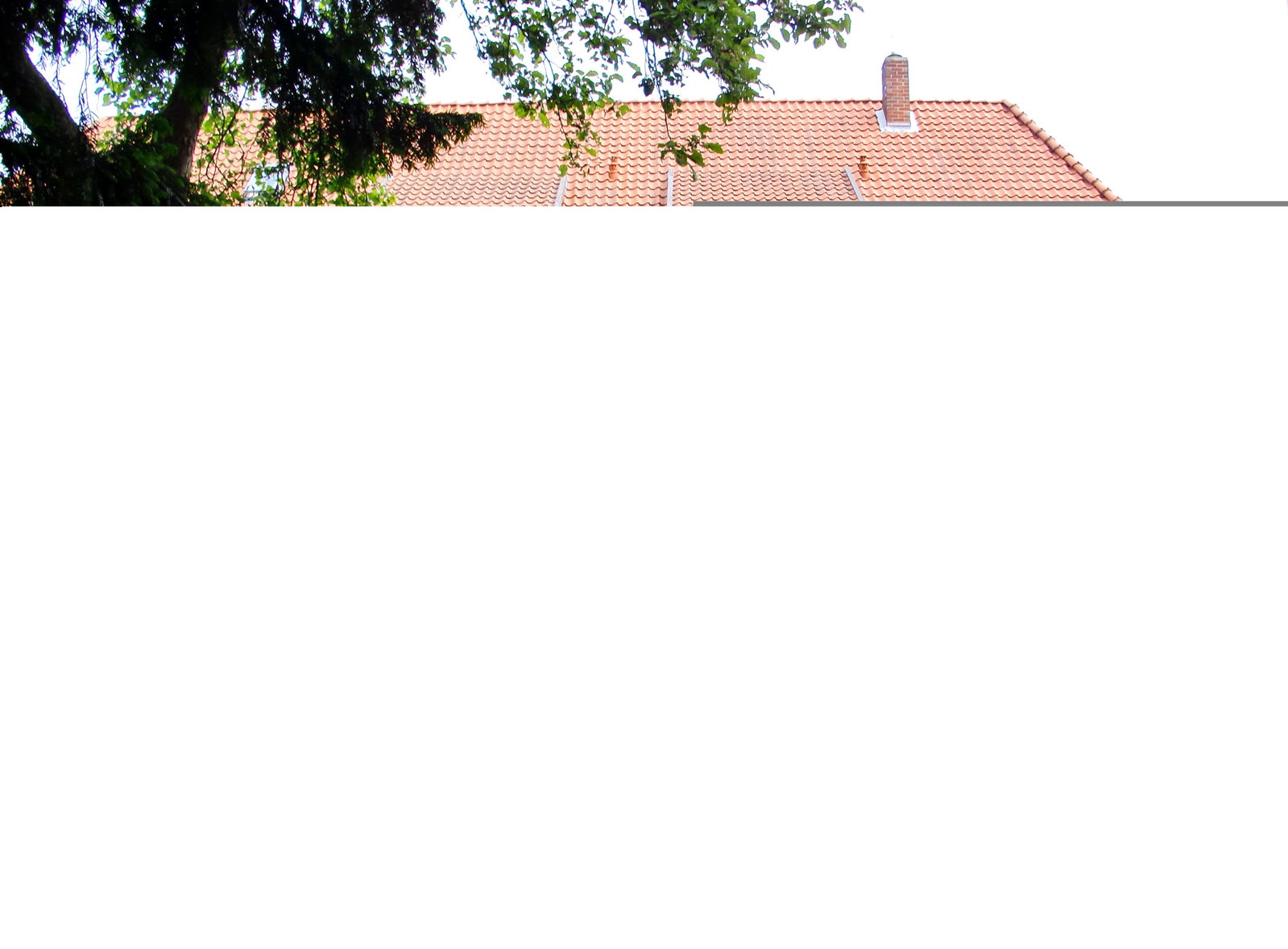 Lebensblüte Heilpraktikerschule