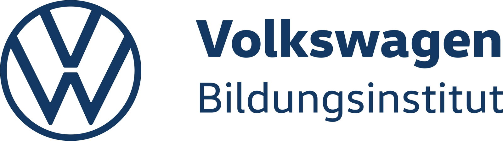 VW Bildungsinstitut GmbH